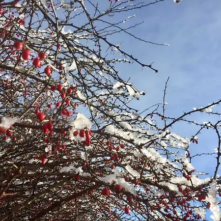 Tatil Evi Baumgarten1 Gnas