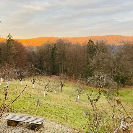 Baumgarten1 Σπίτι διακοπών Gnas