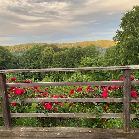 Baumgarten1 Σπίτι διακοπών