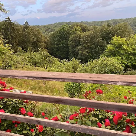 Σπίτι διακοπών Baumgarten1 *