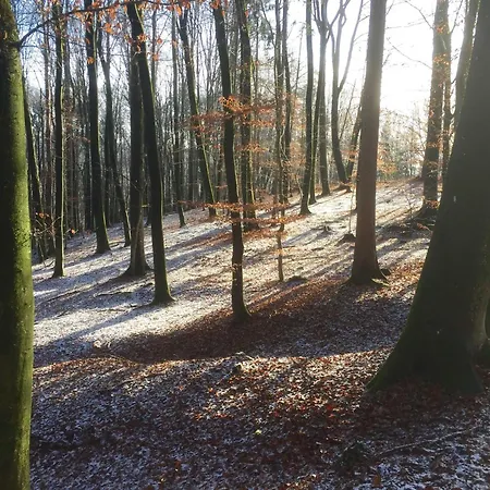 Baumgarten1 Prázdninový dům *