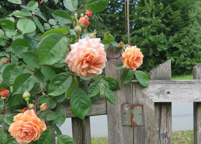 Tatil Evi Baumgarten1