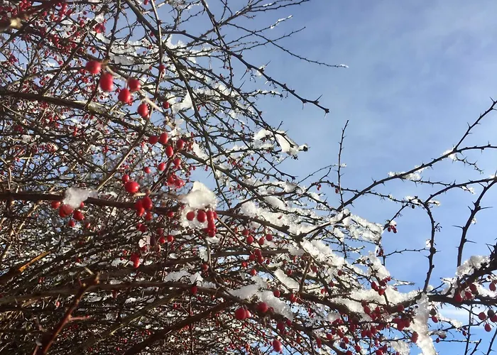 Holiday home Baumgarten1 Gnas