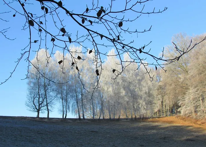 Tatil Evi Baumgarten1 *